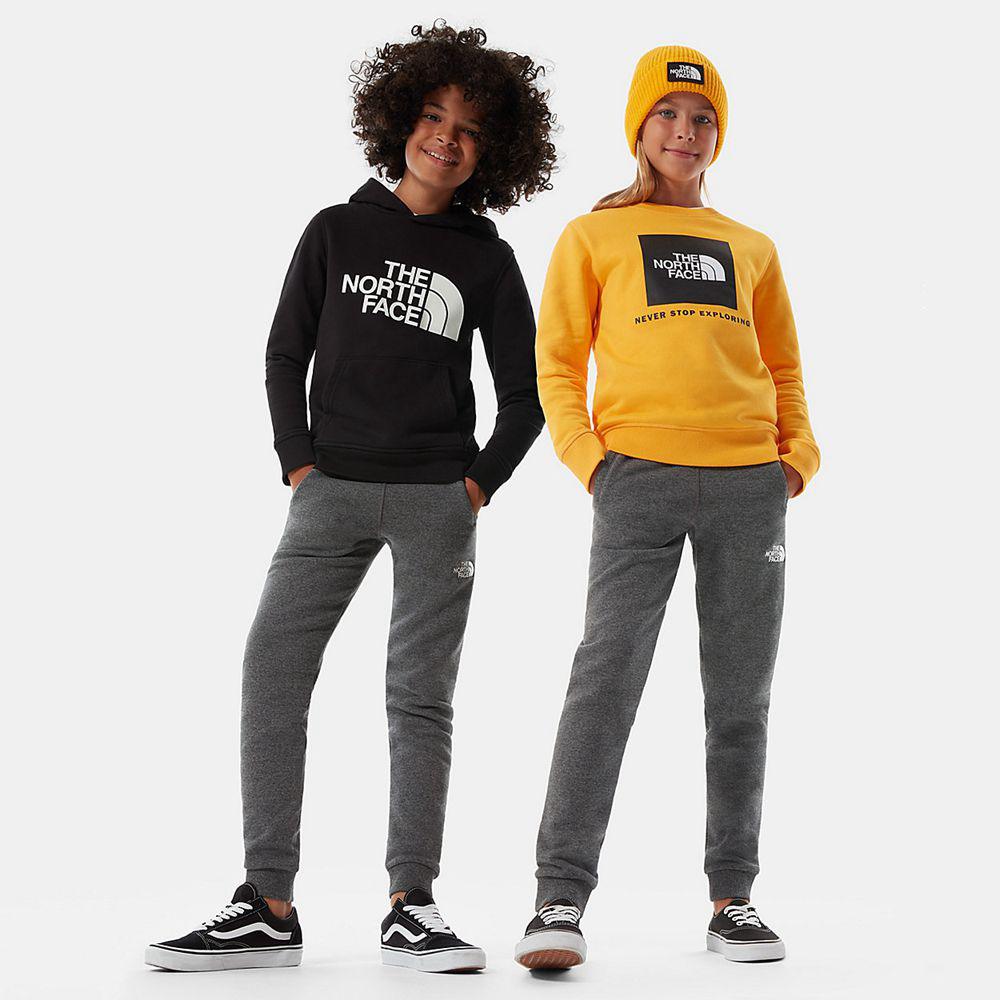 The North Face Fleece Παιδικα Παντελόνι - Γκρι / Ασπρα (CORU32095)